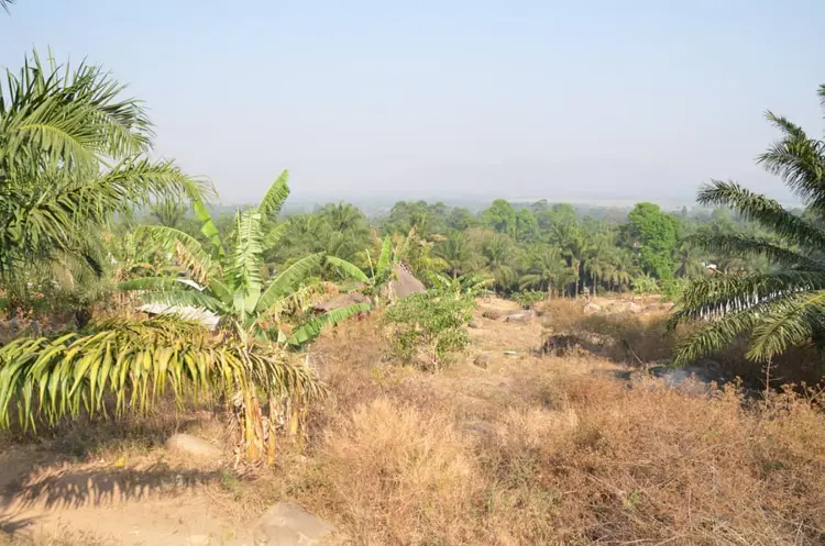 picture of an area view